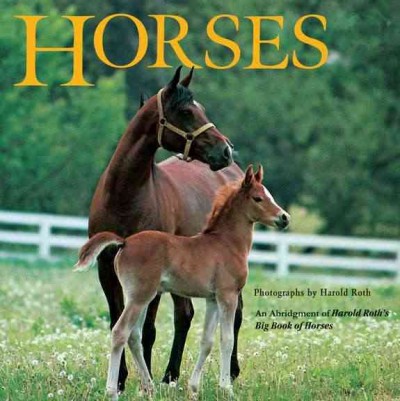 Horses / text by Margo Lundell ; photographs by Harold Roth ; abridgement by Laura Driscoll.