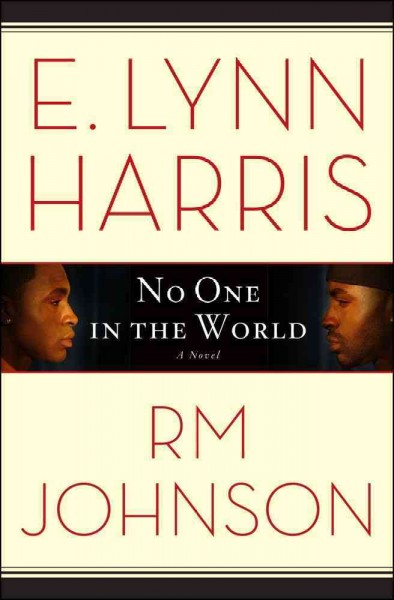 No one in the world / E. Lynn Harris, RM Johnson.