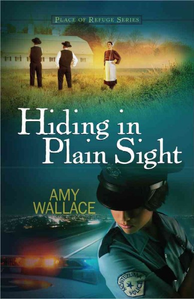 Hiding in plain sight / Amy Wallace.