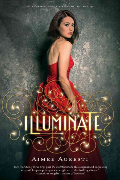 Illuminate / Aimee Agresti.