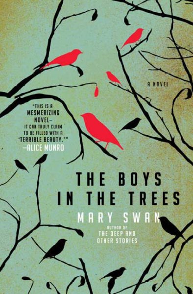Boys in the trees : a novel Mary Swan.