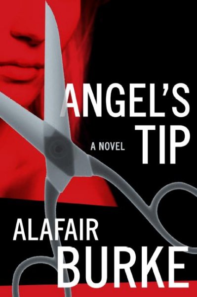 Angel's tip : a novel / Alafair Burke.