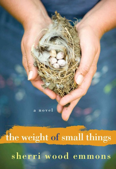 The weight of small things / Sherri Wood Emmons.