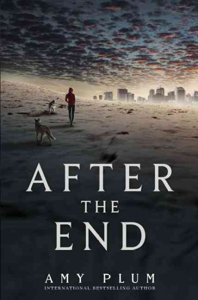 After the end / Amy Plum.