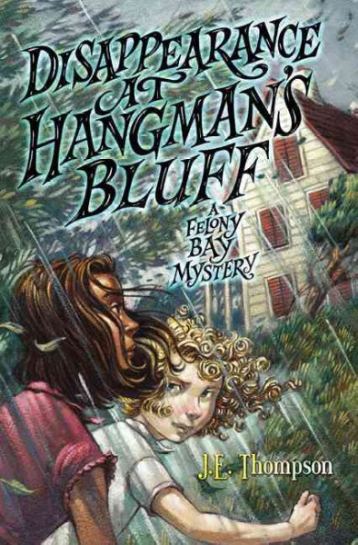 Disappearance at Hangman's Bluff : a Felony Bay mystery / J.E. Thompson.