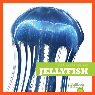 Jellyfish / by Cari Meister.