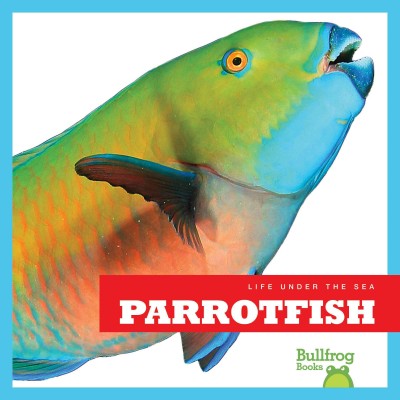 Parrotfish / by Cari Meister.