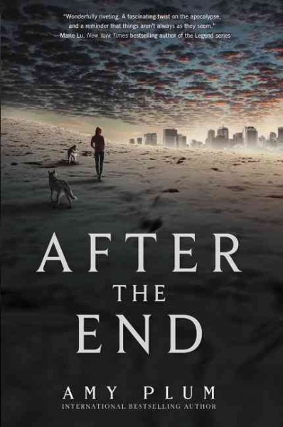 After the end / Amy Plum.