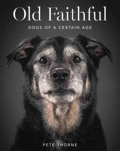 Old faithful : dogs of a certain age / Pete Thorne.