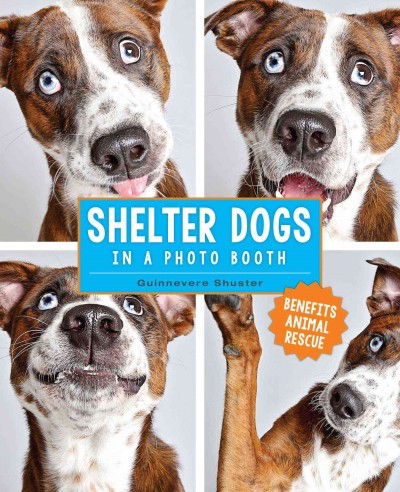 Shelter dogs in a photo booth / Guinnevere Shuster.