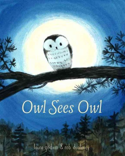 Owl sees owl / by Laura Godwin ; illustrated by Rob Dunlavey.