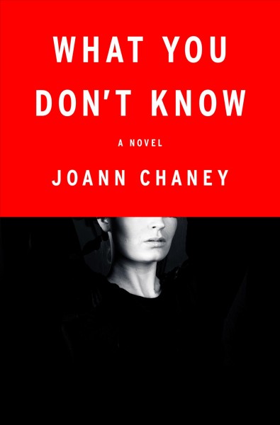 What you don't know : a novel / JoAnn Chaney.