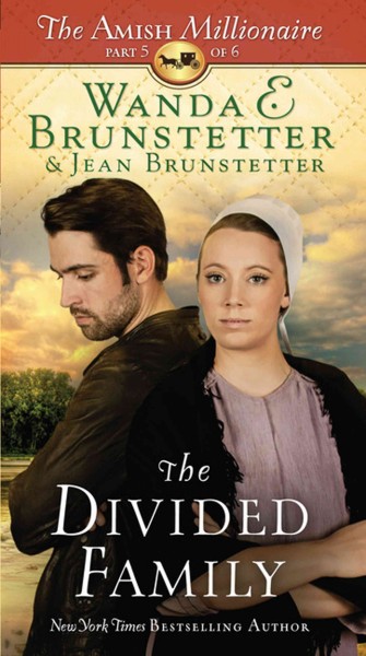 The divided family / Wanda E. Brunstetter & Jean Brunstetter