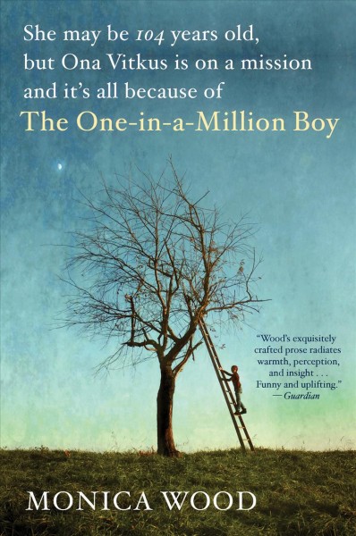 The one-in-a-million boy / Monica Wood.
