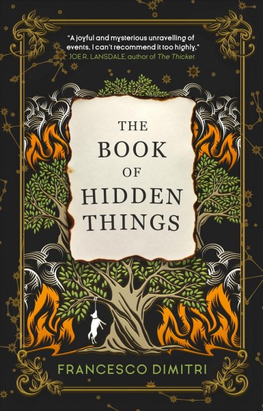 The book of hidden things / Francesco Dimitri.