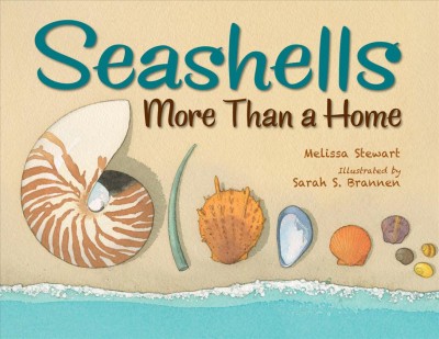 Seashells : more than a home / Melissa Stewart ; illustrated by Sarah S. Brannen.