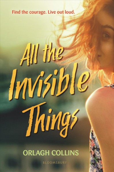 All the invisible things / Orlagh Collins.