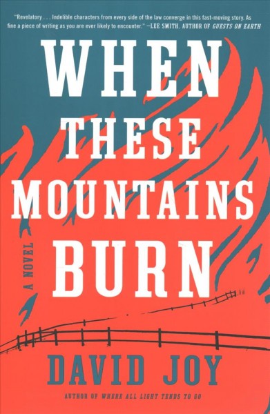 When these mountains burn : a novel / David Joy.