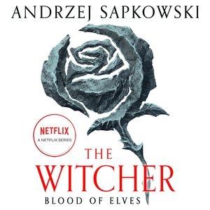 Blood of elves / Andrzej Sapkowski ; translation by Danusia Stok.