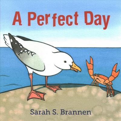 A perfect day / Sarah S. Brannen.