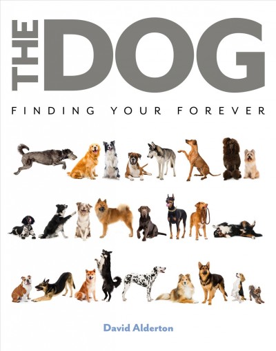 The dog : finding your forever / David Alderton.