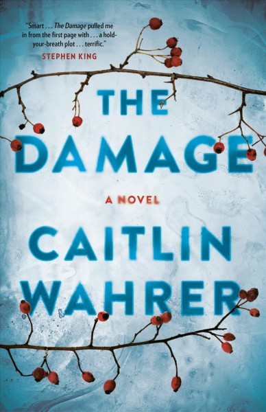 The damage / Caitlin Wahrer.