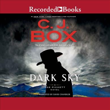 Dark sky [Audiobook] : [a Joe Pickett novel] / C. J. Box.