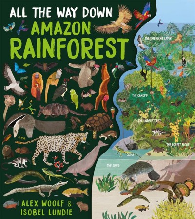 Amazon rainforest / written by Alex Woolf ; illustrated by Isobel Lundie.