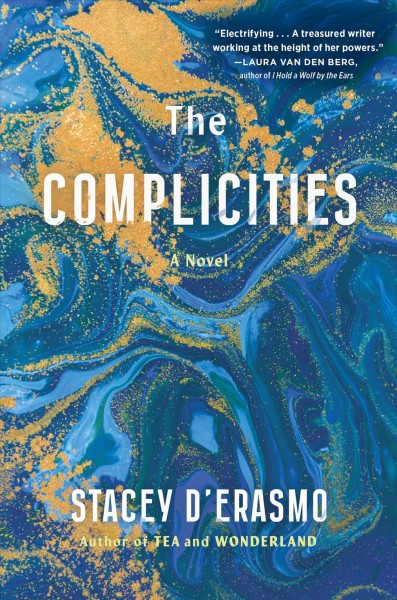 The complicities : a novel / Stacey D'Erasmo.
