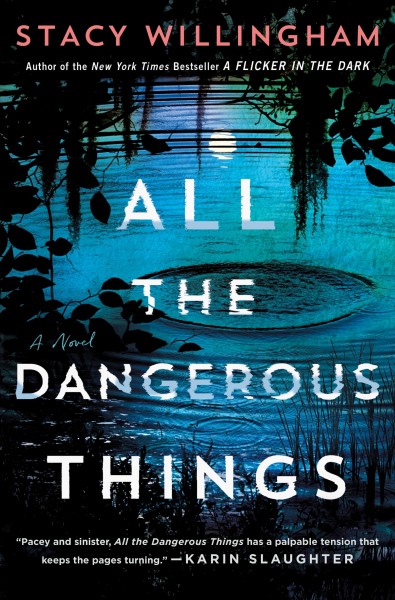 All the dangerous things : a novel / Stacy Willingham.