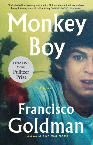 Monkey boy : a novel / Francisco Goldman.