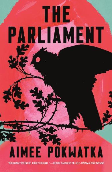 The parliament / Aimee Pokwatka.
