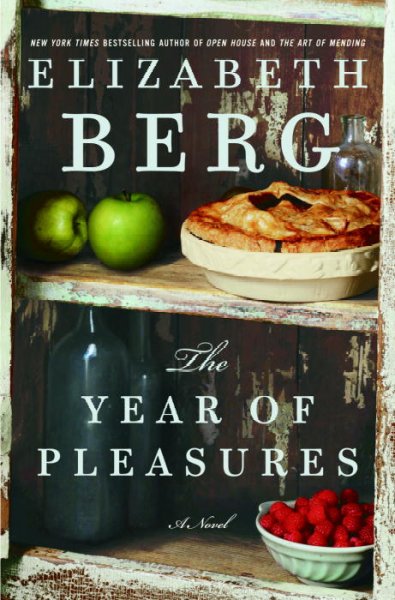 The year of pleasures / Elizabeth Berg.