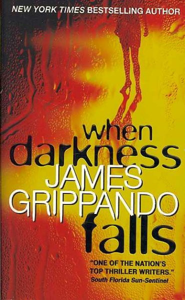 When darkness falls / James Grippando.