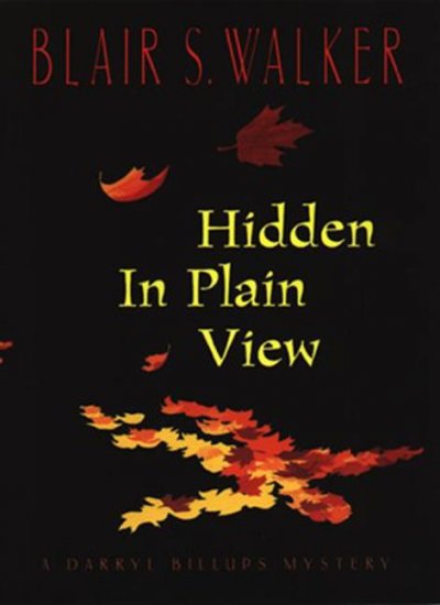Hidden in plain view : a Darryl Billups mystery / Blair S. Walker.