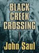 Go to record Black Creek Crossing