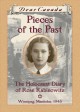 Pieces of the past the Holocaust diary of Rose Rabinowitz  Cover Image