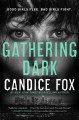 Gathering dark  Cover Image