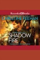 Shadow fire : a Shadow riders novel Cover Image