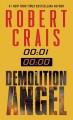 Demolition angel : a novel  Cover Image